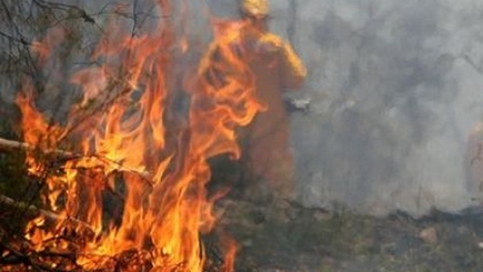 Тушение лесных пожаров и отходов лесного хозяйства