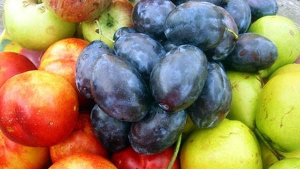 Еще 60  компаний из Молдовы смогут экспортировать фрукты в Россию