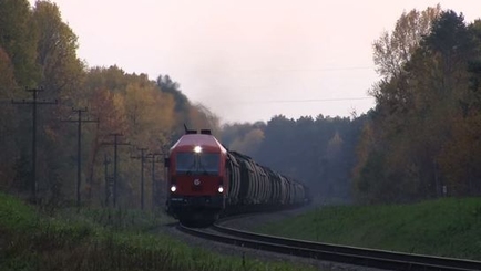 Белоруссия и Литва присоединились к «Шелковому пути» в обход России