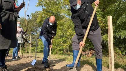 Инвалиды по зрению и по слуху нуждаются в материальной помощи больше, чем другие