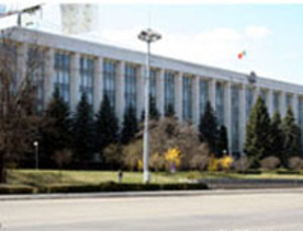 Политики считают Зинаиду Гречаной наиболее подходящей кандидатуру на должность премьер-министра