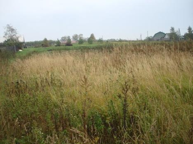 В нашем сельском хозяйстве  дела обстоят все хуже и хуже…