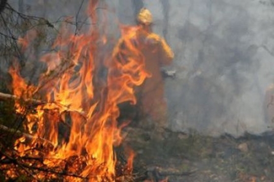 Тушение лесных пожаров и отходов лесного хозяйства