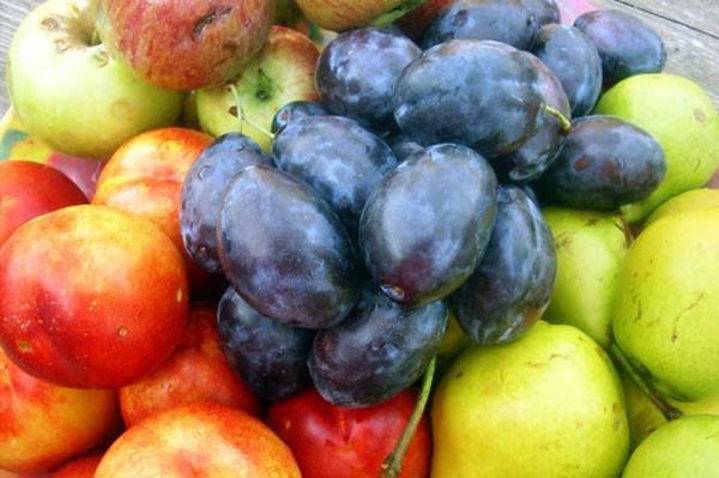 Еще 60  компаний из Молдовы смогут экспортировать фрукты в Россию