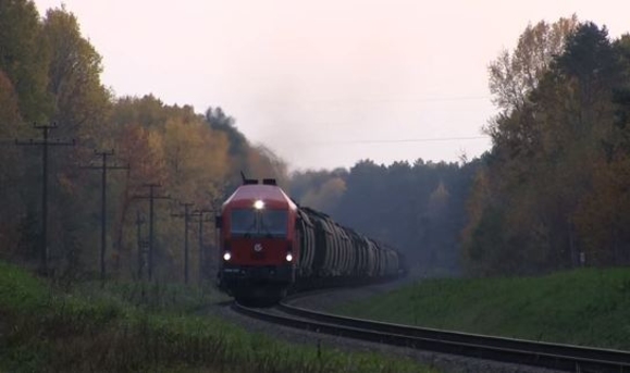 Белоруссия и Литва присоединились к «Шелковому пути» в обход России