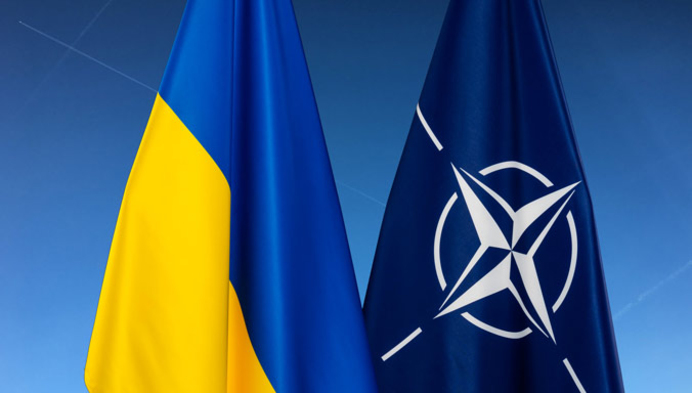 Почему Украина до сих пор не в НАТО?