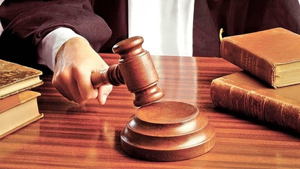 В Румынии открыли 18 уголовных дел по результатам референдума об импичменте президента