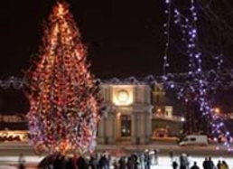 Рождественская ель уже готова к установке