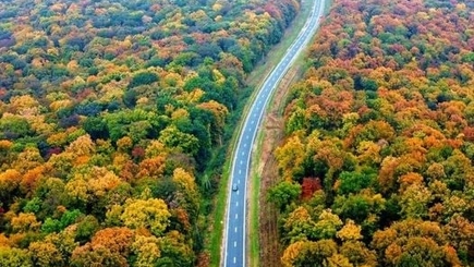 Гагаузия: куда мы движемся?