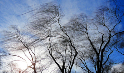 В Молдове желтый код опасности из-за ветра