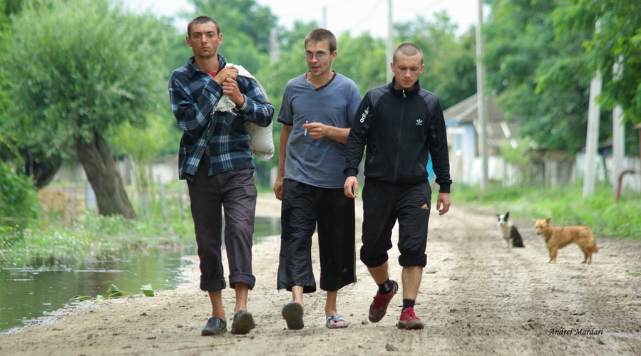 О гуманном правосудии для людей и нелюдей