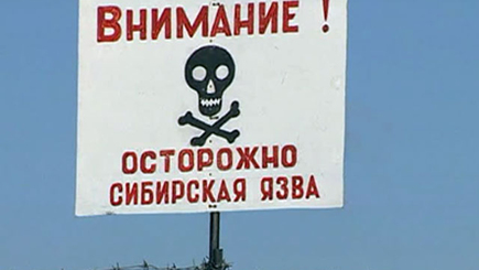 Сибирская язва в Молдове