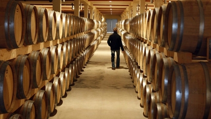 Производители молдавского вина имеют хорошие шансы на немецком рынке