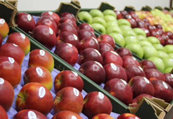 «Платформа DA» требует прояснить ситуацию с экспортом молдавских фруктов в Россию