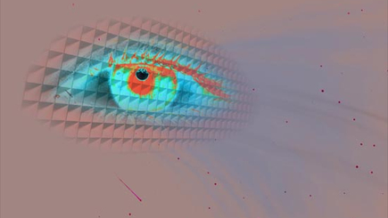 Иллюзорная реальность