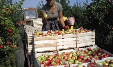 Товарооборот между Россией и Молдовой вырос более чем на 10%