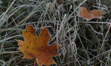 Метеорологи объявили 