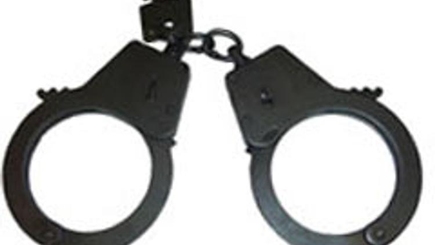 Платон и Кавкалюк объявлены Интеполом в розыск