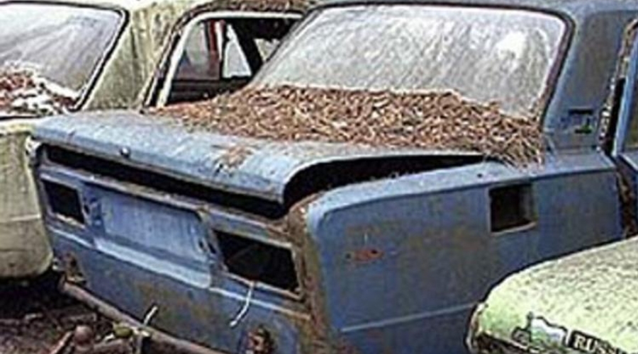 Как освободить Молдову от автохлама?