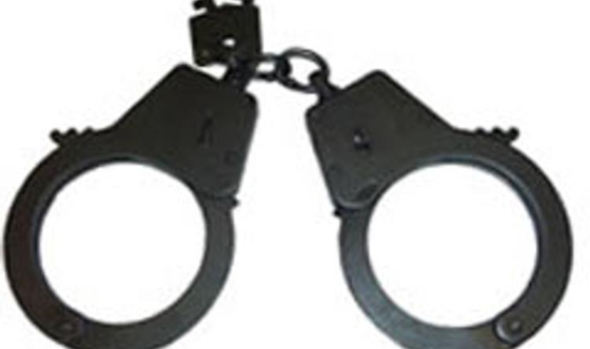 Платон и Кавкалюк объявлены Интеполом в розыск