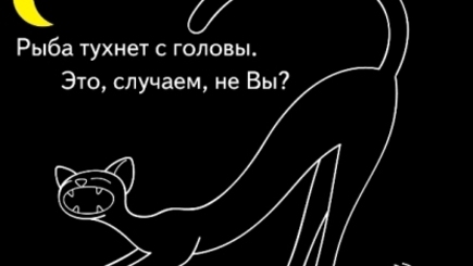 Рыба тухнет с головы. Правовой нигилизм высших эшелонов власти
