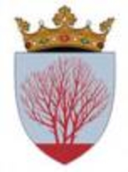 Советники от Либеральной партии проголосовали за избрание либерал-демократов и коммунистов в руководство района Сынжерей