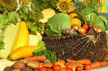 Европейцы оценят молдавскую сельхоз продукцию