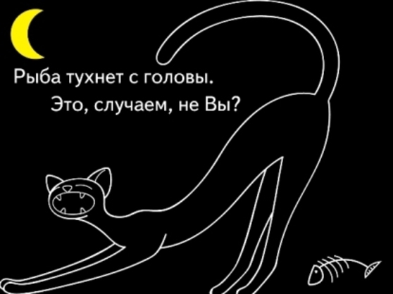 Рыба тухнет с головы. Правовой нигилизм высших эшелонов власти