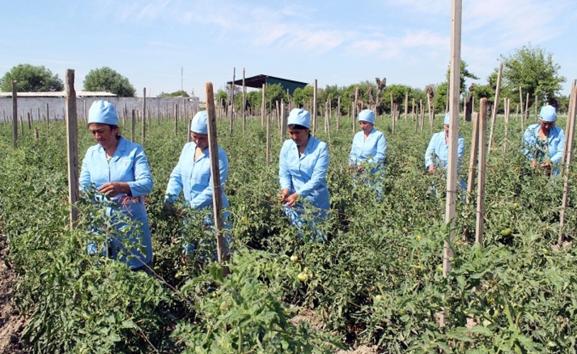 Когда-то, кто-то обещал 