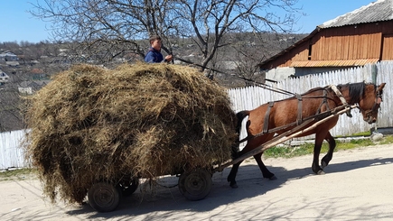 ЖОСУ: 