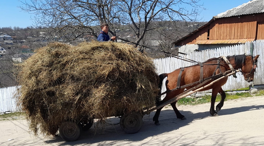 ЖОСУ: 