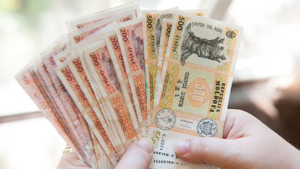 Благополучно перезимуют наши люди с юга