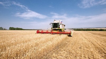 Рост ВВП РМ и динамика производства сельхозпродуктов