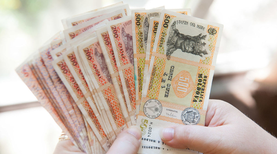 Благополучно перезимуют наши люди с юга