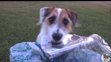 100 таких работяг - и Молдова выйдет из кризиса