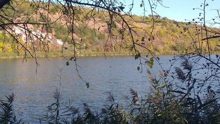 Национальная кампания по озеленению «Дерево для нашего выживания» стартует 13 ноября