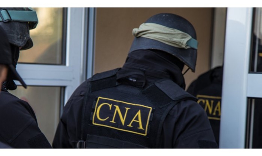 Аллу Долинцэ обыскали, но еще не арестовали