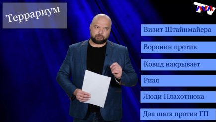 Террариум – Визит Штайнмайера, Воронин против, Ковид снова, Ризя, люди Плахотнюка, шаги против ГП