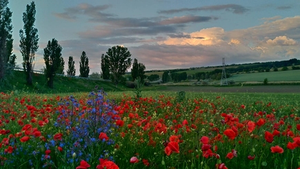 Примэрии - меньше, да лучше!