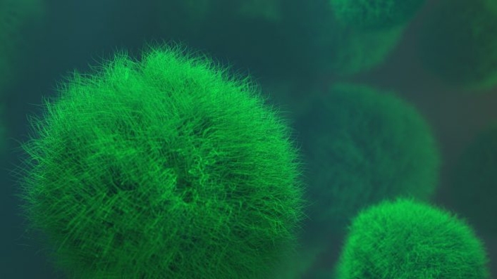 Куда делся вирус гриппа?