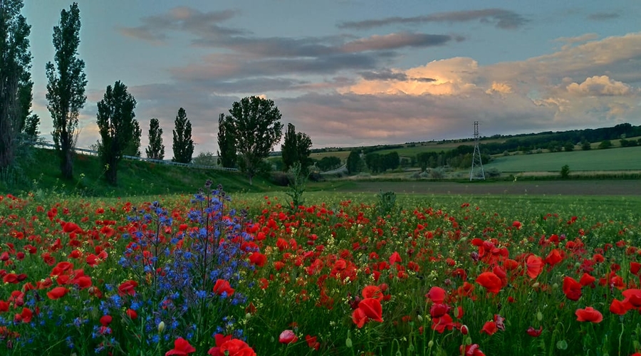 Примэрии - меньше, да лучше!