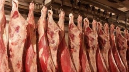 Ближний Восток будет закупать молдавскую говядину и баранину