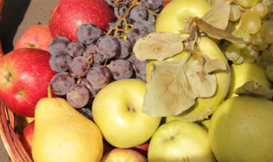 Россия готова к поэтапному возобновлению экспорта из Молдовы