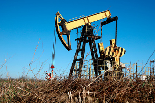 Российская нефть упала до минимума с начала века