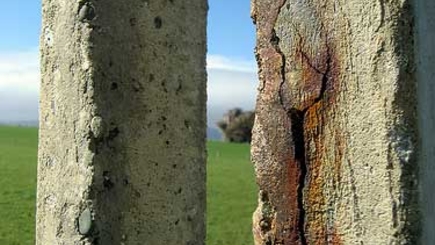 Почем нынче Президент