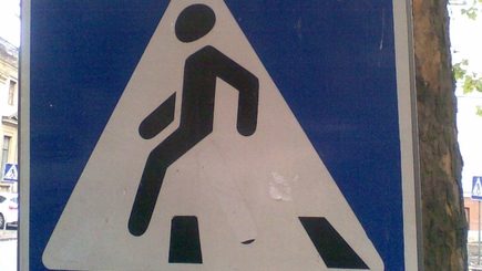 Не переходите улицу в «установленных местах»!