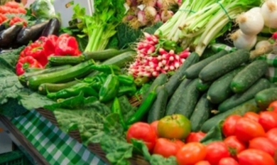 Япония научит Молдову выращивать овощи