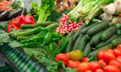 Япония научит Молдову выращивать овощи