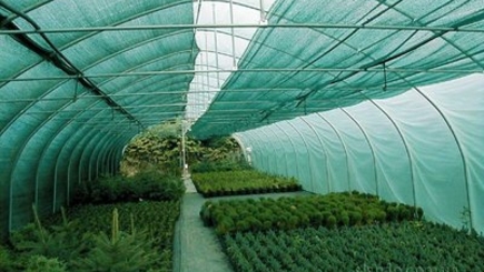 Вместо противоградовой службы Молдову покроют специальной сеткой?!