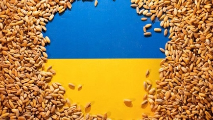 Россия должна ответить за кражу и продажу украинского зерна